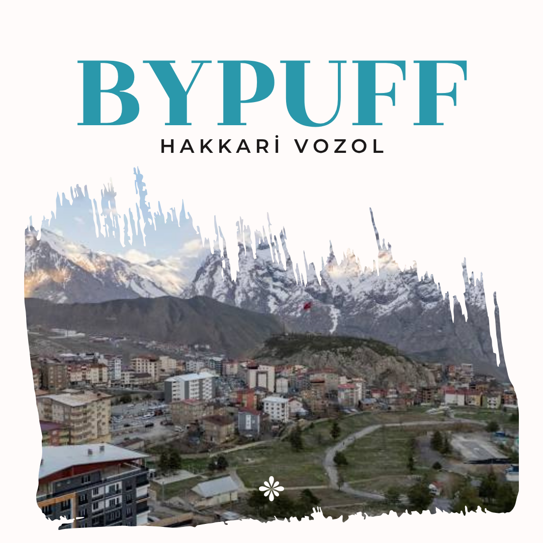 Hakkâri Vozol Puff Satış