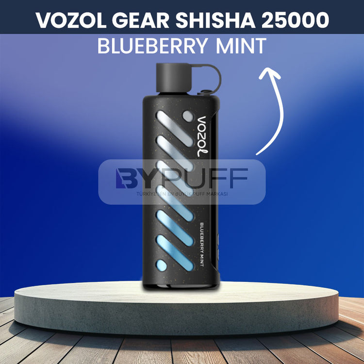 Vozol Gear Shisha 25000 Blueberry Mint