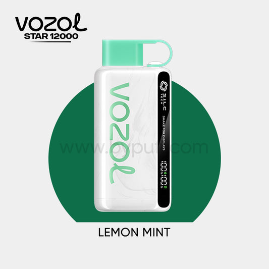 Vozol 12000 Lemon Mint